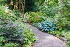 USA- Washington State. Bellevue Botanical garden and shade garden Art Print